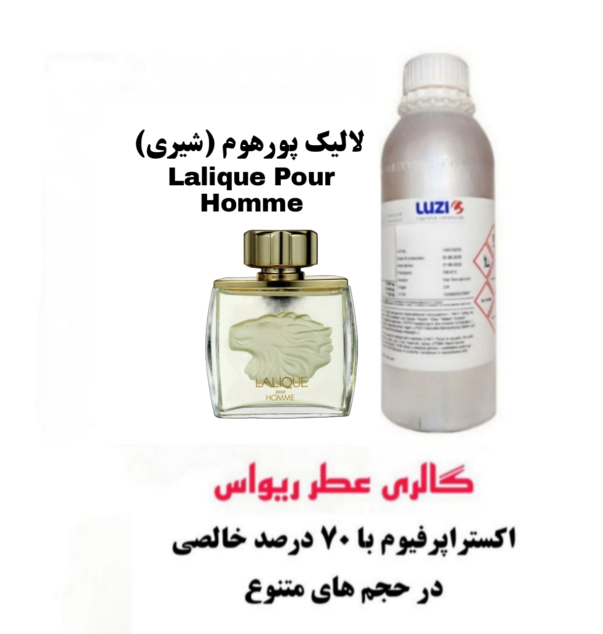 Lalique Pour Homme